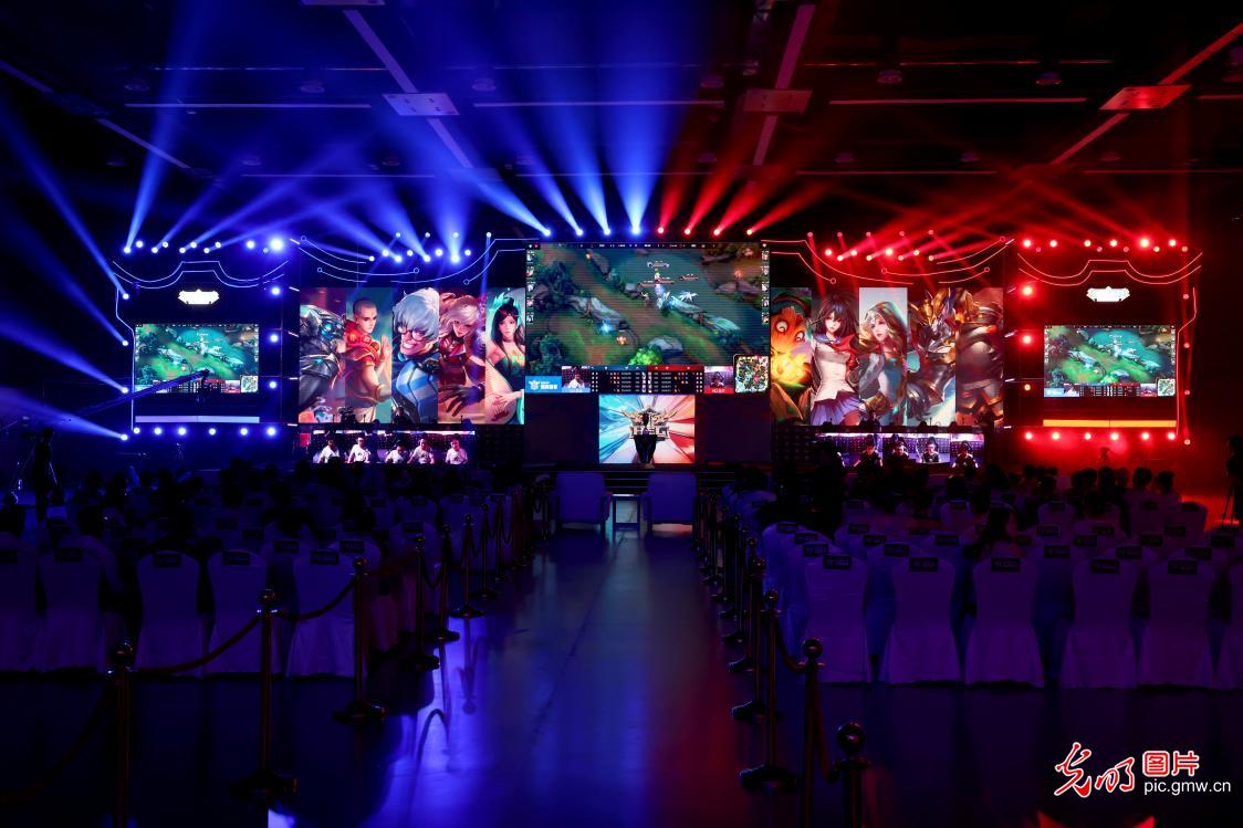 排14人大 排14人大