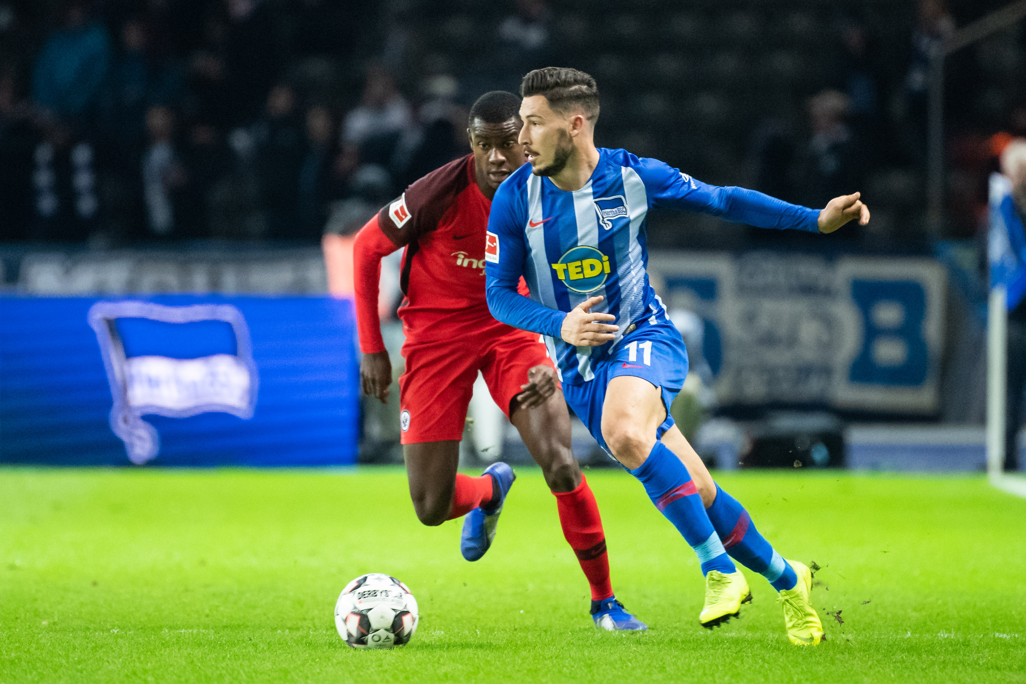 未来提供了 未来提供了