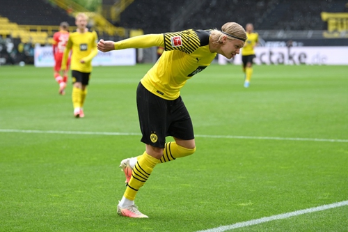 动不仅体现 动不仅体现