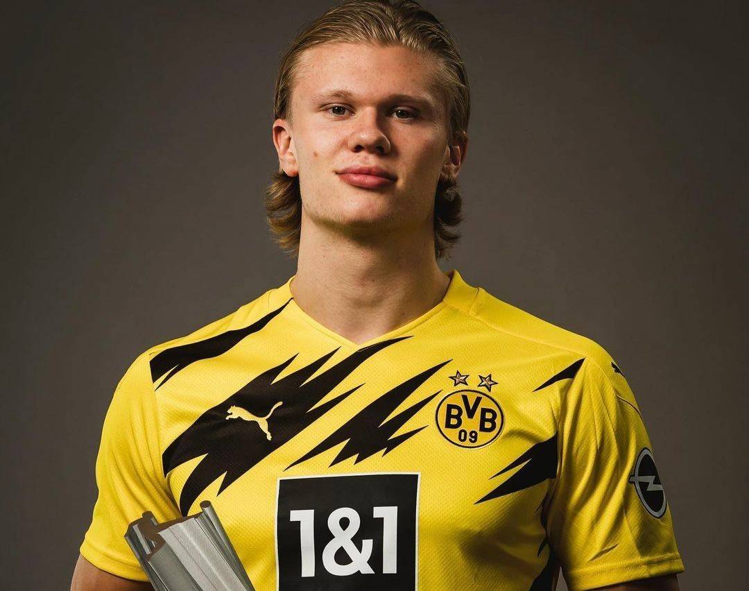 的严格管理 的严格管理