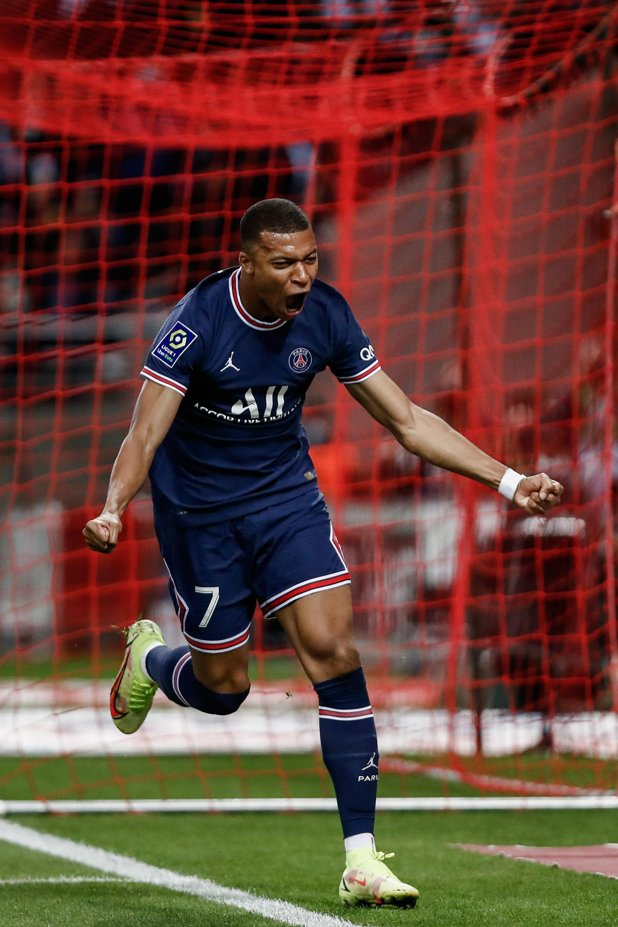 的经验显示 的经验显示